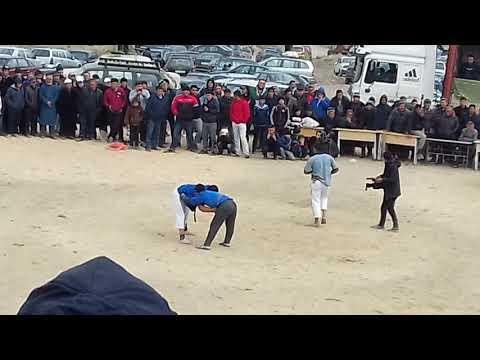 Видео: Обитали узбек самандар чорбоог
