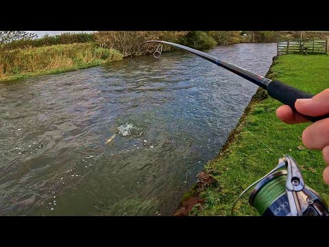 Видео: Ловля лосося и морской форели на спиннинг в Камбрии | Много экшена 🎣🎣😁