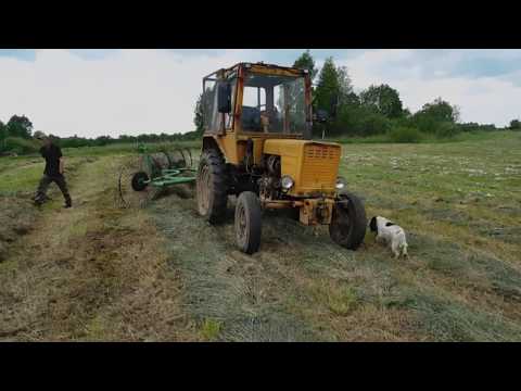 Видео: Начало сенокос 2020г Часть3 .Т-25 сгребает сено!