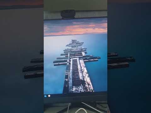 Видео: 25 сентября 2025 г.