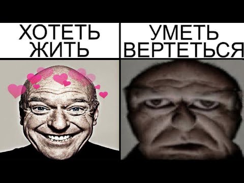 Видео: Дневная подборка мемов 862