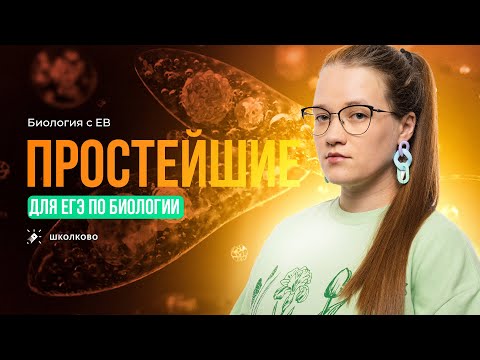 Видео: Зоология: простейшие. ЕГЭ по биологии 2024
