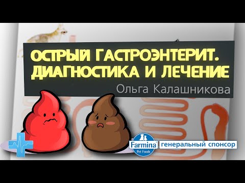 Видео: Острый гастроэнтерит. Диагностика и лечение