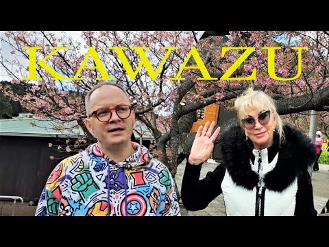 Видео: Япония | Кавадзу-место цветения ранней сакуры / Japan | Kawazu - Place of Early Cherry Tree Blossoms