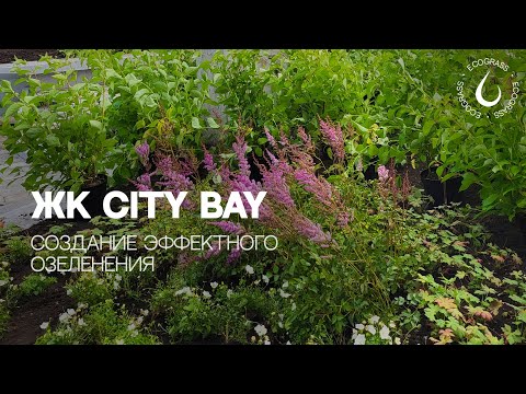 Видео: ОЗЕЛЕНЕНИЕ ЖК В МОСКВЕ | Ассортимент растений и нюансы работы