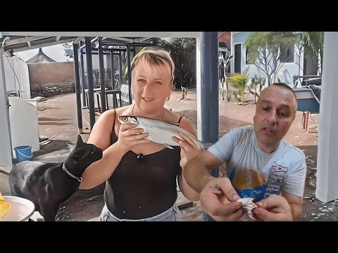Видео: Жизнь в филиппинской провинции / Рыбный день. Домашний кефир готов / Блонд по - местному