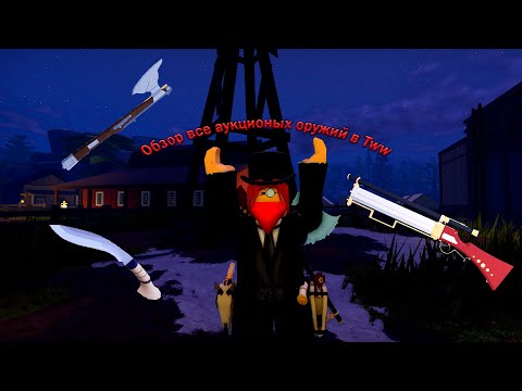 Видео: Обзор всех оружий из аукциона в Tww.
