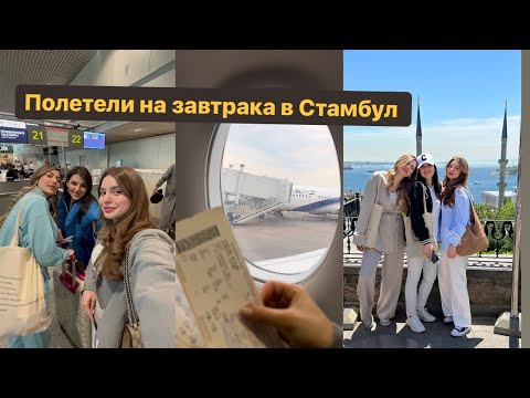Видео: Завтрак в Стамбуле с Саней и Шуней🤍