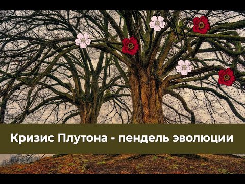 Видео: Кризис Плутона - пендель эволюции. Что хочет от нас квадрат транзитного Плутона к натальному?