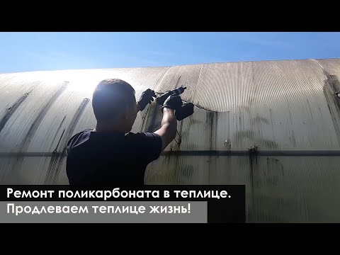 Видео: Как отремонтировать поликарбонат в теплице. Продлеваем теплице жизнь!