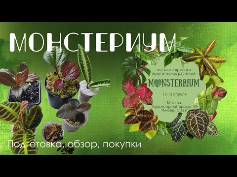 Видео: Монстериум: выставка-продажа тропических растений в Москве. Подготовка, обзор, мои покупки.