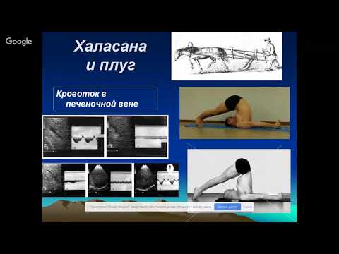 Видео: Физиология практик йоги .  Ринад Минвалеев.