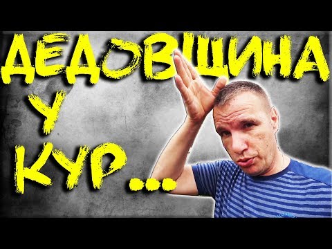 Видео: Подселяем новых несушек к старым! Как правильно это сделать.?