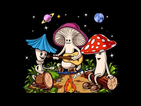 Видео: Беседа про грибы 🍄 