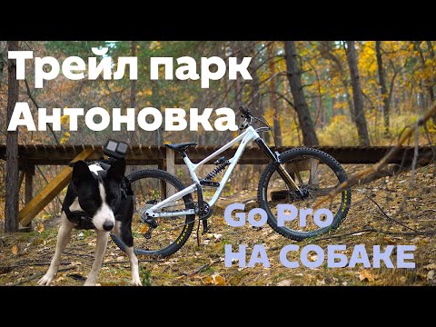 Видео: Трейл парк Антоновка | Go Pro На собаке