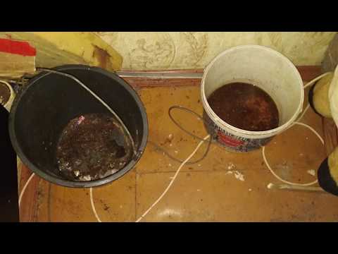 Видео: Двух детей изъяли из неблагополучной семьи в Череповце