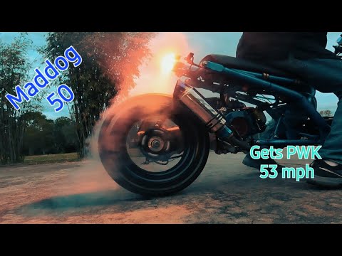 Видео: Maddog 50 получил карбюратор PWK Flat Slide 21 мм. На 4 мили в час быстрее! 139QMB 50cc Icebear