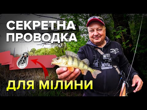 Видео: Як ловити окуня та щуку в мілкій водоймі з мулистим дном? Наприклад, так. Дивіться мою версію )