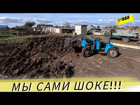 Видео: Многие не знали на, что способен это минитрактор. Вычистили весь загон после быков. Омская деревня.
