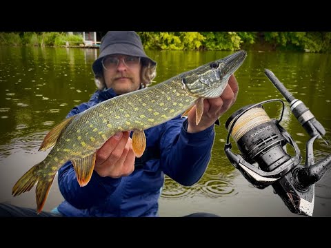 Видео: ОСЕННЯЯ ЩУКА В ИВАТЕЛЕ|Shimano 25 Exsence C3000MHG