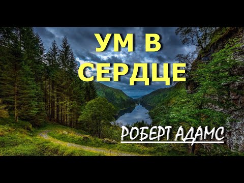 Видео: ДАЙТЕ УМУ БЫТЬ В СЕРДЦЕ [Р. Адамс (142)]