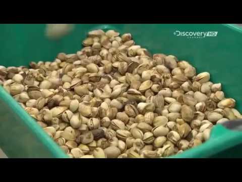Видео: Фисташки