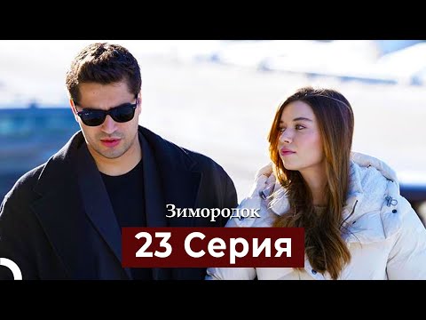 Видео: Зимородок 23 Cерия (Русский дубляж)