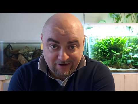 Видео: Аквариум. Бюджетная подставка.