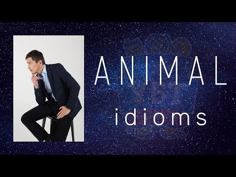 Видео: Animal Idioms / Ағылшын тілі / ҰБТ Академиясы