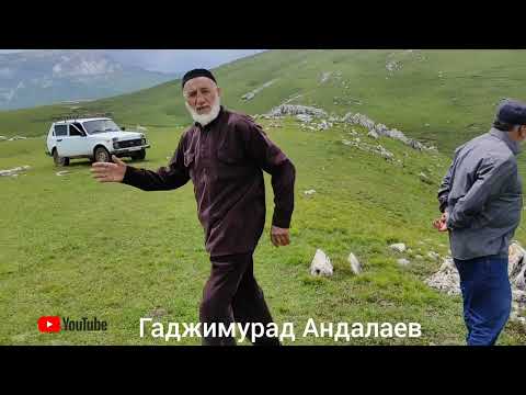 Видео: Второе путешествие с Абдулкаримом в горы.14.06.2023