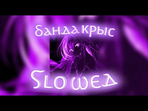 Видео: Банда Крыс (slowed)