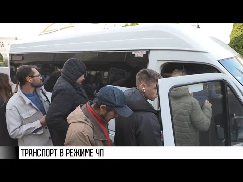 Видео: Транспорт по графику: очереди на остановках