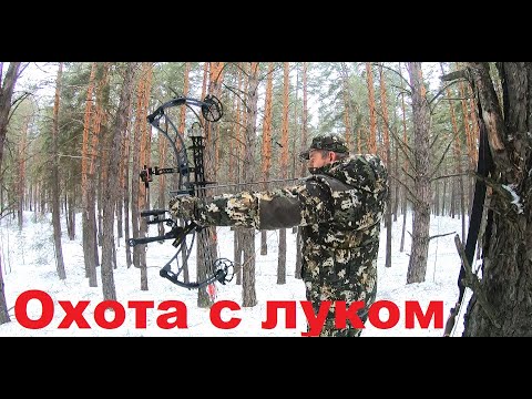 Видео: Охота с луком на кабана, подготовка, советы. Часть 1.