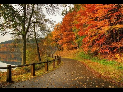 Видео: 2054 - ✨ВЛОГ- Осень🍂🍁🍂/Утро☀/Кузя😻❤/Болталка/Разное/от 12 октября 2025г.