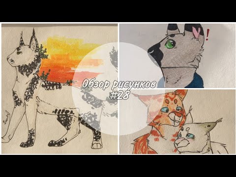 Видео: 🐾Обзор рисунков Котов-Воителей #28 🐾