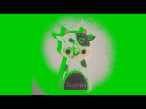 Видео: Корова из спрунки ФУТАЖИ (Берите кто хотите)