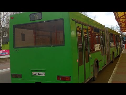 Видео: Автобус Борисова МАЗ 105 065 госномер АЕ 1724-5 марш 14