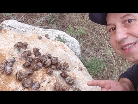 Видео: 15 ноября 2025 г.