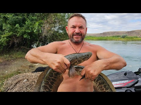 Видео: Рыбалка в Кайф, Природа речка ! Поймал много рыбы !