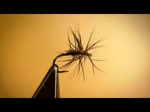 Видео: Оливер Эдвардс связывает Стюартов с «Черным пауком» и «Мокрой мухой»