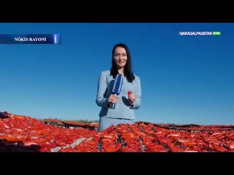 Видео: Нөкис районы  «BIOGUMUS» фермер хожалығы