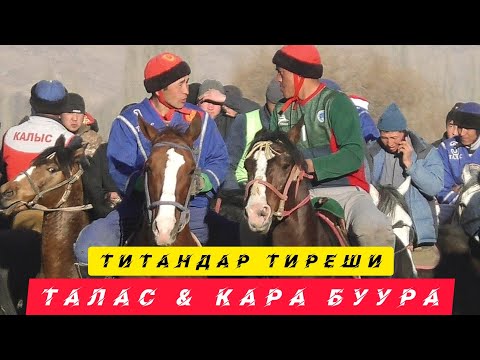 Видео: Финал 💥🔥 Талас & Кара Буура ( Чоңдор ) Титандар тиреши 🔥🔥🔥