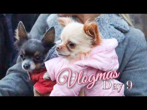 Видео: ❄️⛸ VLOGMAS 9 - Нови придобивки за Арчи и Белла +Водихме я на ветеринар