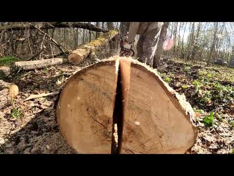 Видео: влог5 слэбы из липы