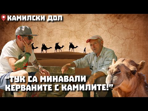 Видео: Околоселски пътешествия #20 - КАМИЛСКИ ДОЛ