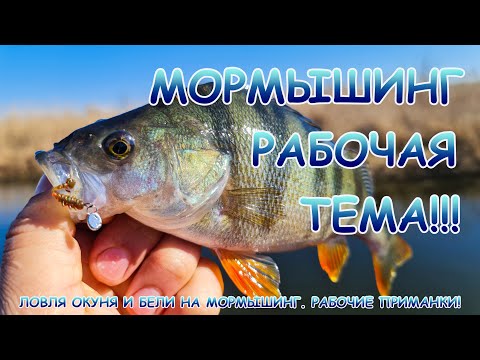 Видео: МИКРОДЖИГ или МОРМЫШИНГ. Окунь и тарань на мормышку.