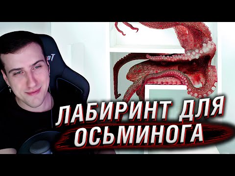 Видео: Осьминог Vs Подводный Лабиринт | Реакция На Mark Rober