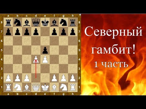 Видео: Шахматы дебюты. Северный гамбит! (1 часть)