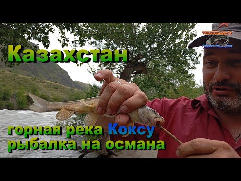 Видео: Казахстан, Жетысу!  Река Коксу 29-30.06.24