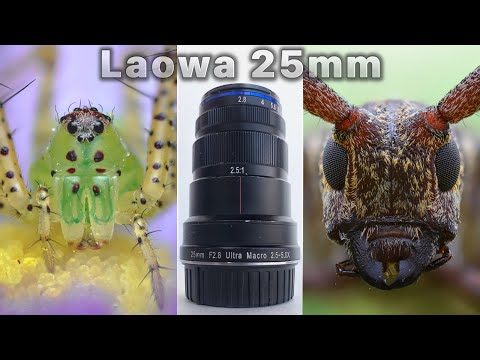 Видео: Обзор макрообъектива Laowa 25mm f/2.8 2.5-5X Ultra Macro